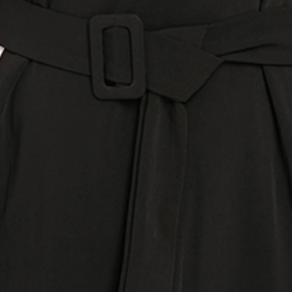 ♠ Chic Plus Size Stripe Panel Mini Dress w/ Belt ♠ - Picture 6 of 8